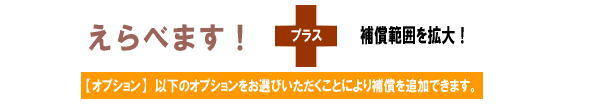 えらべます・オプションイメージ